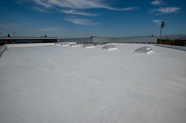 Best Steel Roofing  in Perryopolis, PA